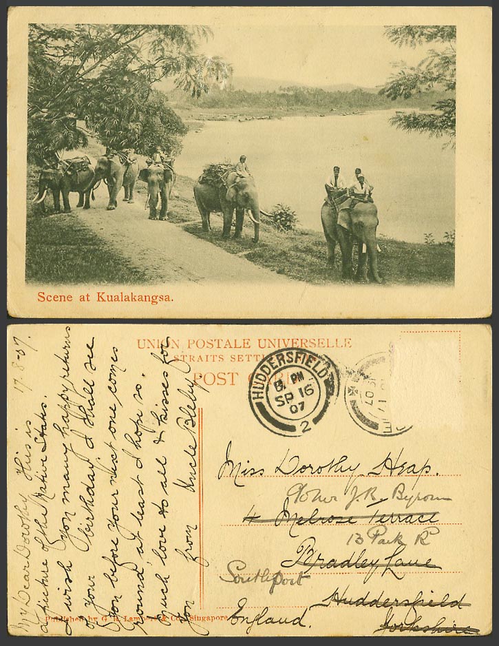 Perak 1907 Old Postcard Scene at KUALAKANGSA Elephant Riders Kuala Kangsar River
