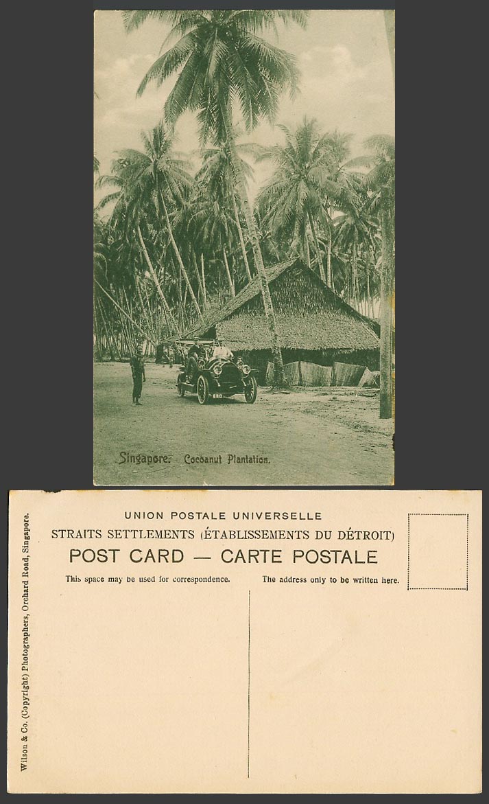 Singapore Old Postcard Cocoanut Plantation Coconut Palm Trees, Vintage Motor Car
