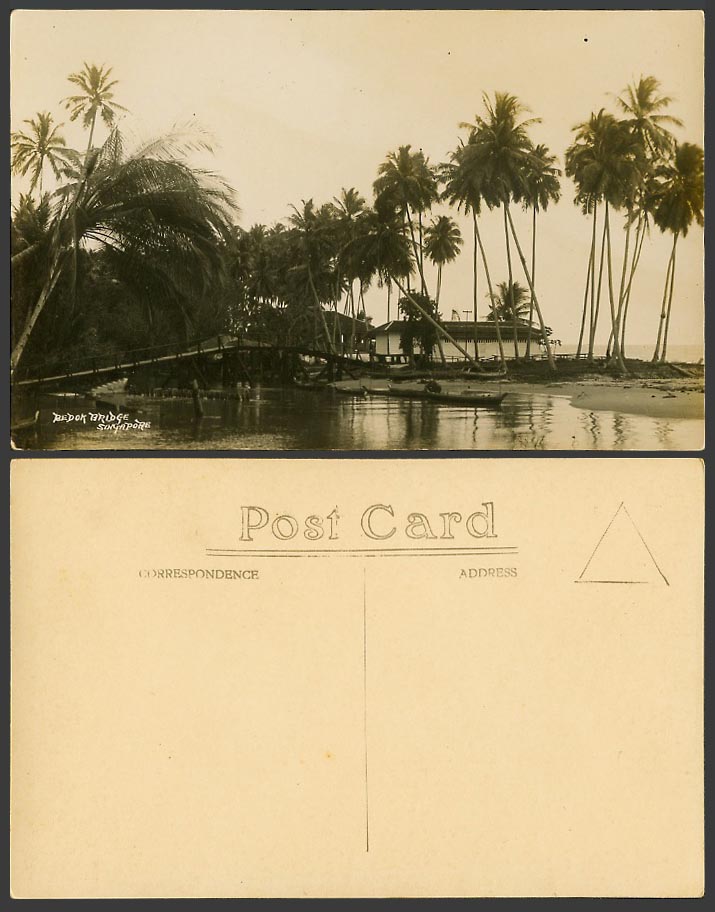 Singapore Old Real Photo Postcard Bedok Bridge Palm Trees Malay Seaside Panorama