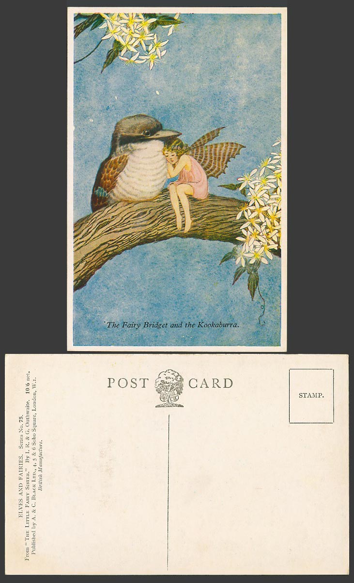 IR & G OUTHWAITE Old Postcard FAIRY BRIDGET & KOOKABURRA Australian Bird Flowers