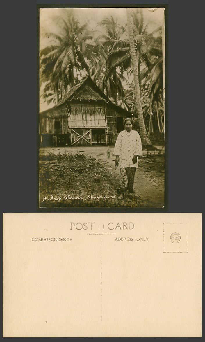 Singapore Old Real Photo Postcard Malay Woman, Native House on Stilts, Palm Tree