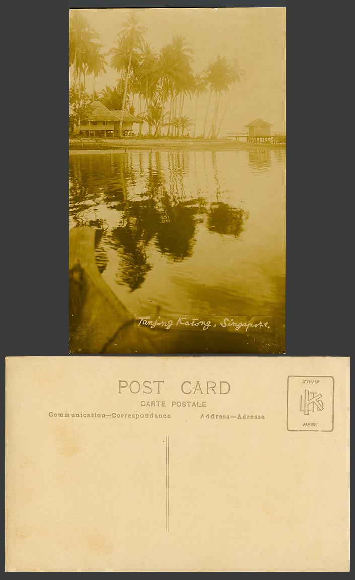 Singapore Old Real Photo Postcard Tanjong Katong Palm Trees Reflections in Water