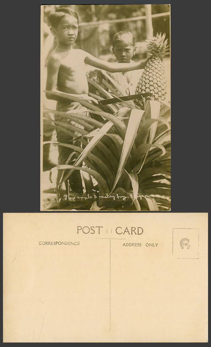 Singapore Old Real Photo Postcard A Malay Boy Cutting Pineapple Pine Apple, Girl