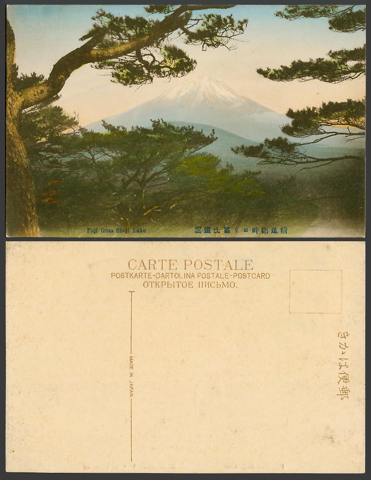 Japan Old Hand Tinted Postcard Mountain Mount Mt. Fuji from Shoji Lake 甲斐精進湖 富士
