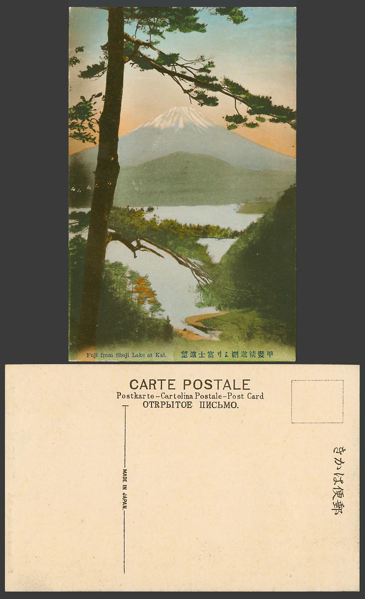 Japan Old Hand Tinted Postcard Mt. FUJI from Shoji Shojin Lake at Kai 甲斐精進湖 富士遠望