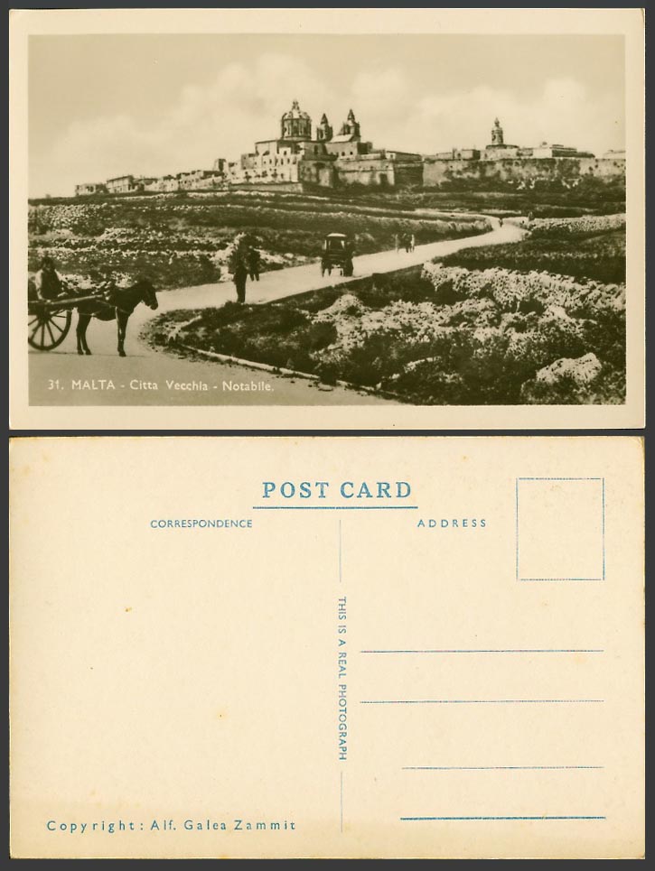 Malta Old Real Photo Postcard Citta Vecchia, Notabile, Street Scene, Donkey Cart