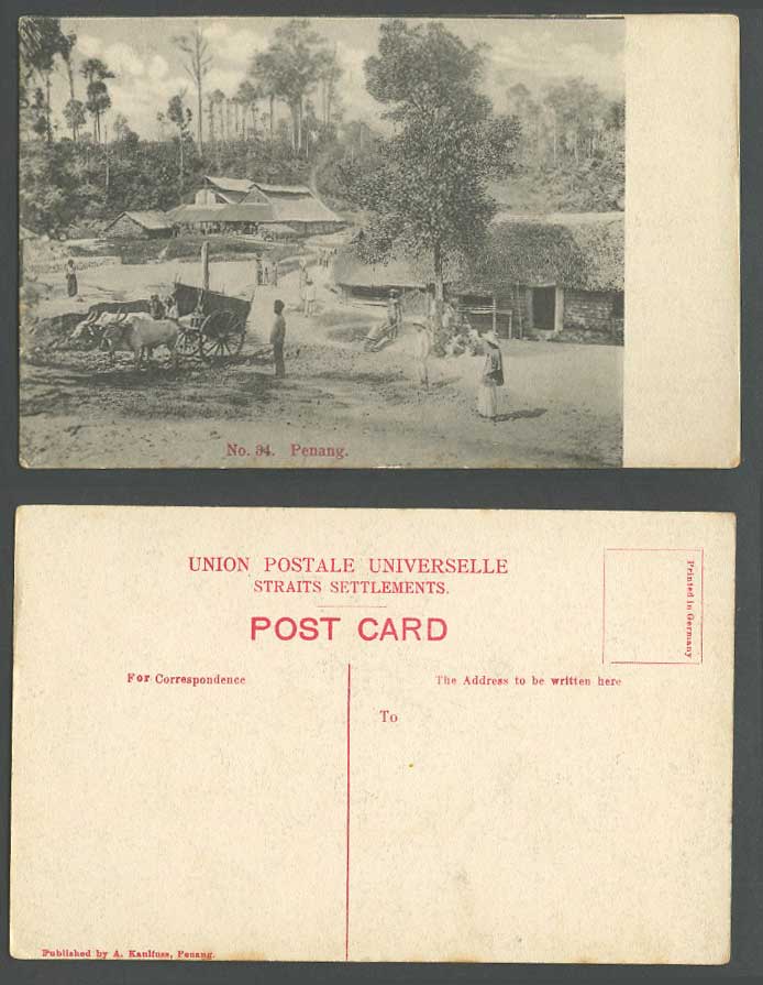 Penang Old Postcard Country Scenery Double Bullock Cart Native Village Houses 34