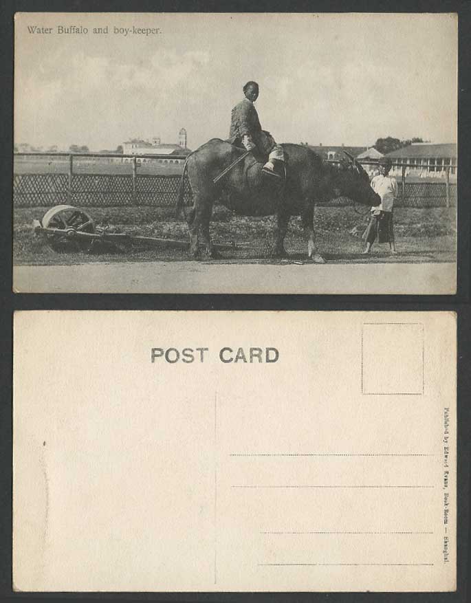 China Old Postcard Chinaman Riding Water Buffalo Boy-Keeper A Roller Ethnic Life