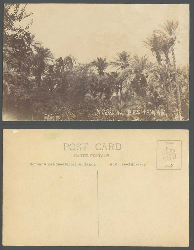 Pakistan Old Real Photo Postcard View in Peshawar Palm Trees Soldiers Brit India