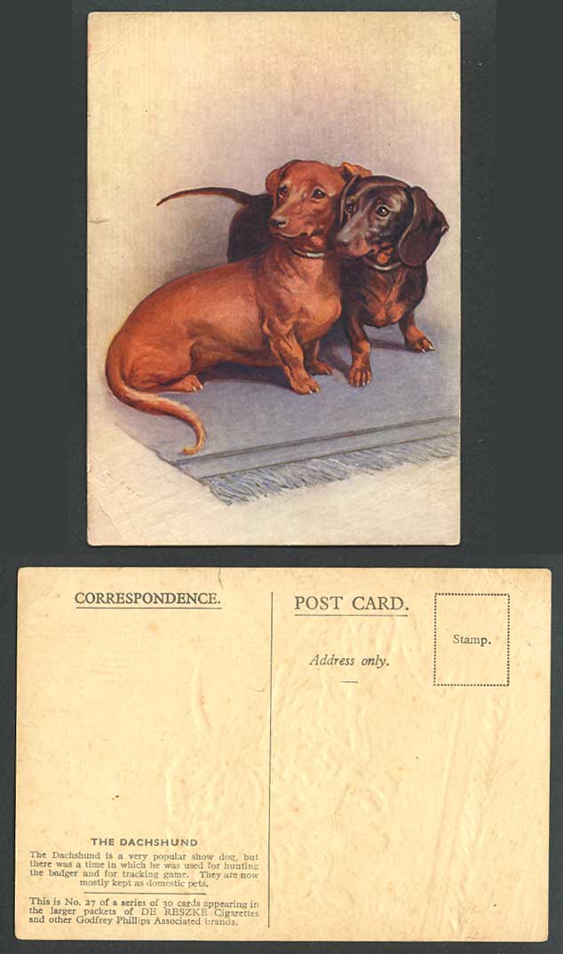 Dachshund German Sausage Dogs Puppies Dog Puppy Rug DE RESZKE No.27 Old Postcard