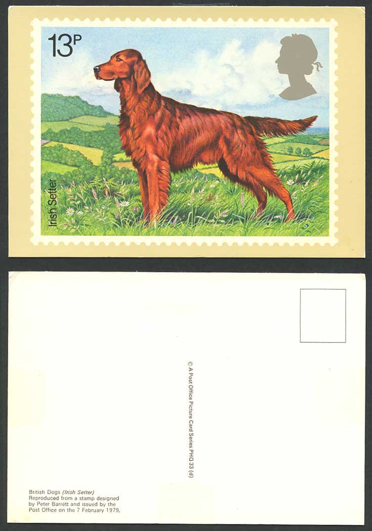 PHQ Card 13p British Dogs Irish Setter Dog Puppy Peter Barrett Designed Postcard