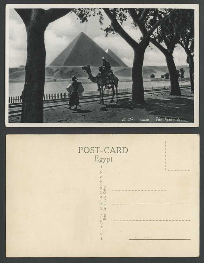 Egypt Old R.P. Postcard Cairo Road to Pyramids, Camel Rider, Route des Pyramides