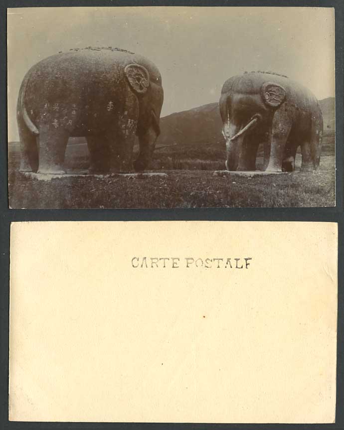 China Old Real Photo Postcard Stone Elephants Statues Chinese Mandarin Ming Tomb