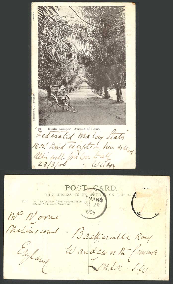 Malaya Kuala Lumpur Avenue of Lake, Rickshaw Penang 1906 Old Postcard Palm Trees