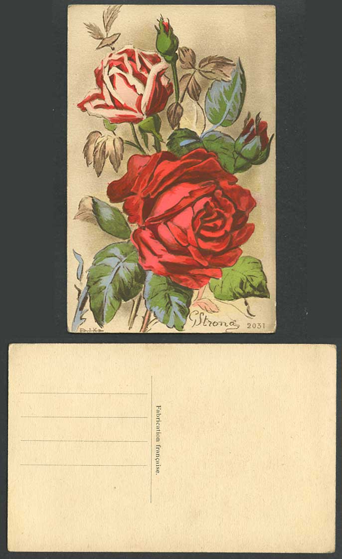G. Strong Artist Signed Rose Flower Roses Flowers D.I.K 2031 Old Colour Postcard