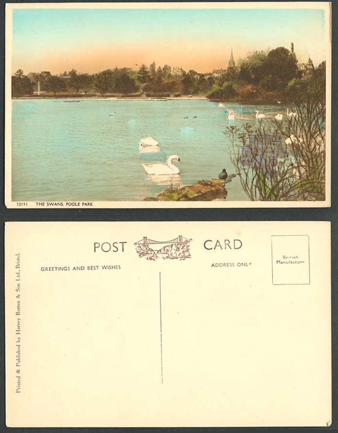Dorset Old Hand Tinted Postcard The Swans POOLE PARK Birds Lake Swan Bird Animal