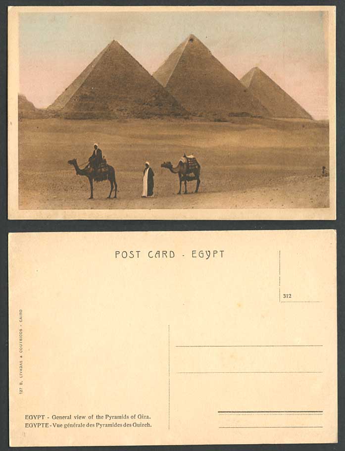 Egypt Old Tinted Postcard Cairo General View of Pyramids Giza Gizeh Ghizeh Camel