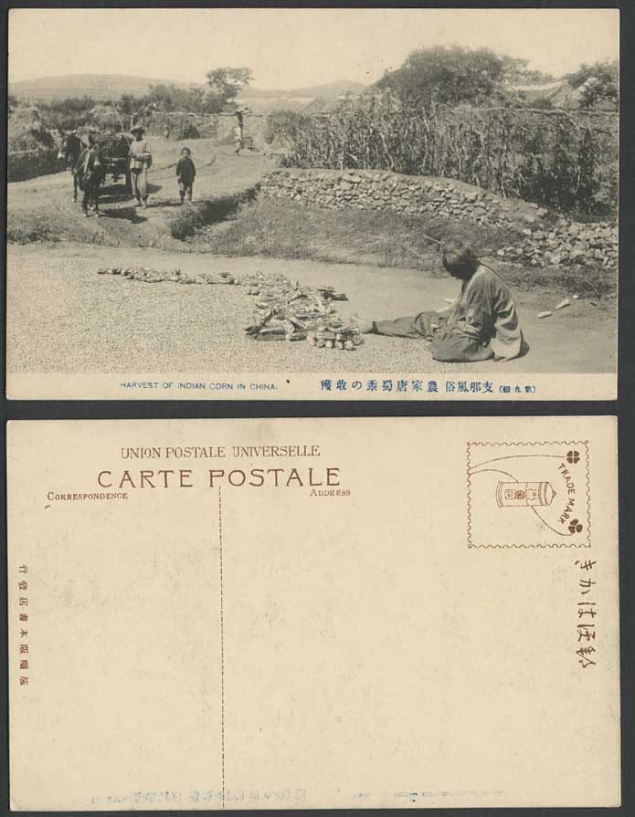 China Old Postcard Harvest Indian Corn, Chinese Farmer Mules Mule Cart Child Men