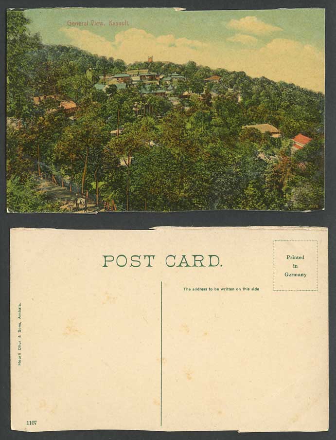 India Old Colour Postcard KASAULI General View Panorama Church Street Road Scene