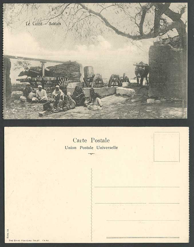 Egypt Old Postcard Cairo Sakieh Le Caire, Water Wheel, Cattle Men Women Children