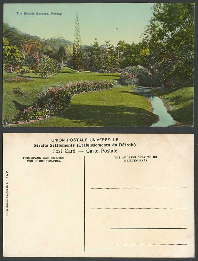 Penang Old Postcard Botanical Gardens Botanic Garden, Flowers Trees River Stream