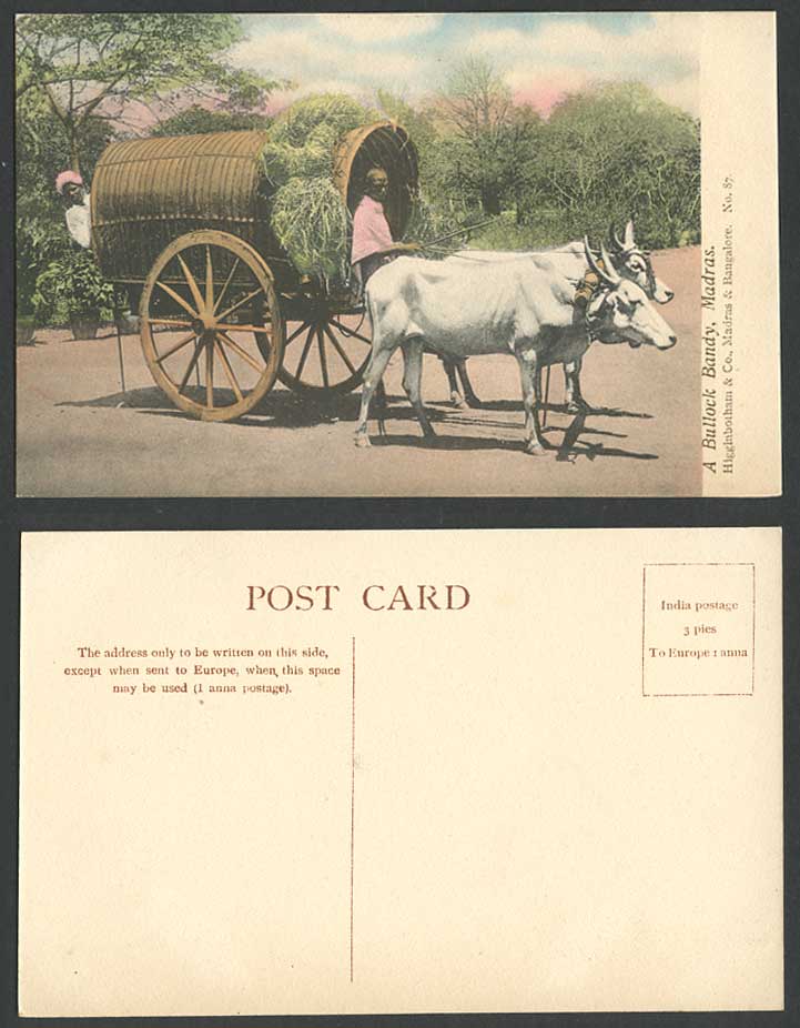 India Old Hand Tinted Postcard A Bullock Bandy Madras Native Driver Bulls Cattle