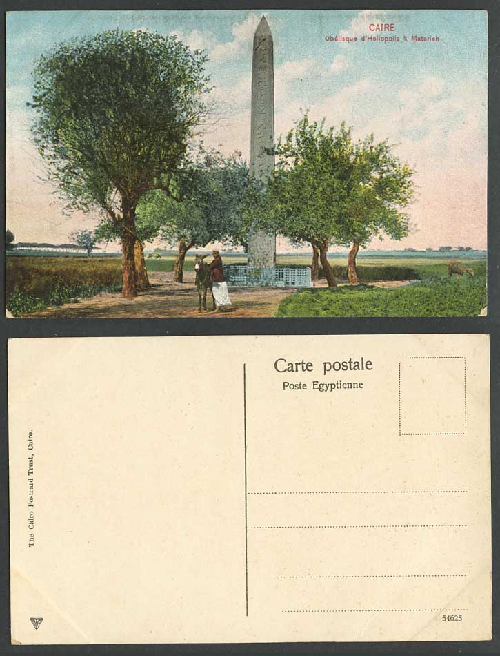 Egypt Old Postcard Cairo Caire Obelisk Obelisque d'Heliopolis a Matarieh, Donkey