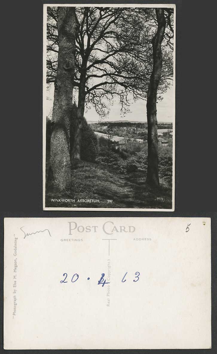 Winkworth Arboretum, Busbridge, between Godalming & Hascombe Surrey Old Postcard
