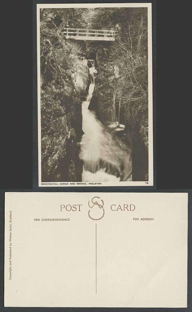 Baxenghyll Gorge & Bridge Ingleton Waterfall Yorkshire Old Postcard Walter Scott