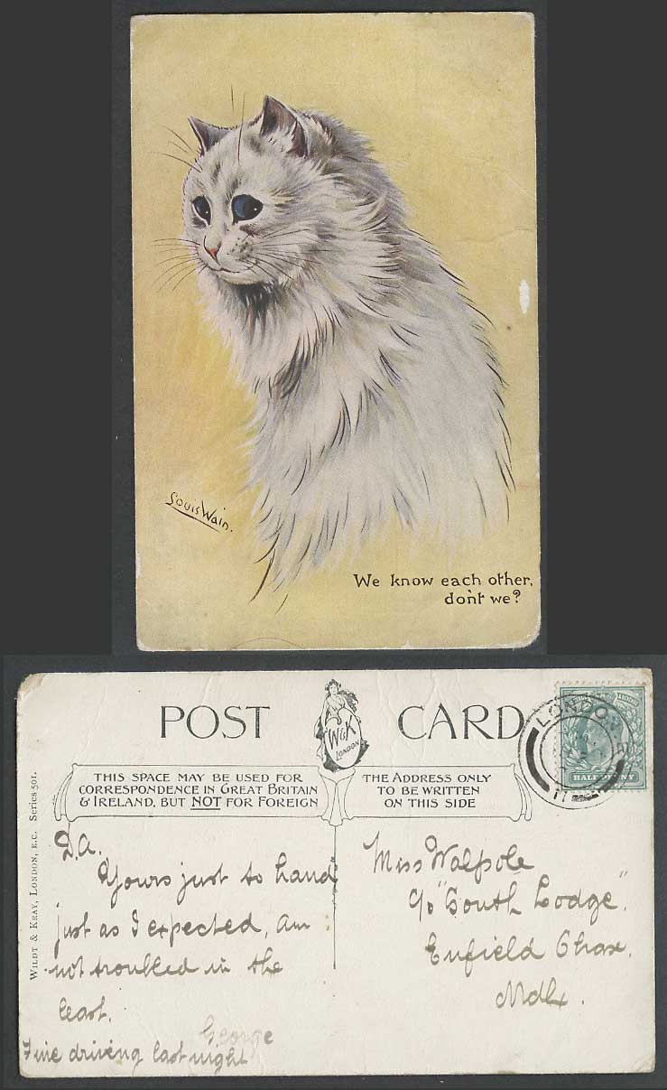 Louis Wain Artist Signed Cat, We Know Each Other Don't We? 1904 Old Postcard W&K