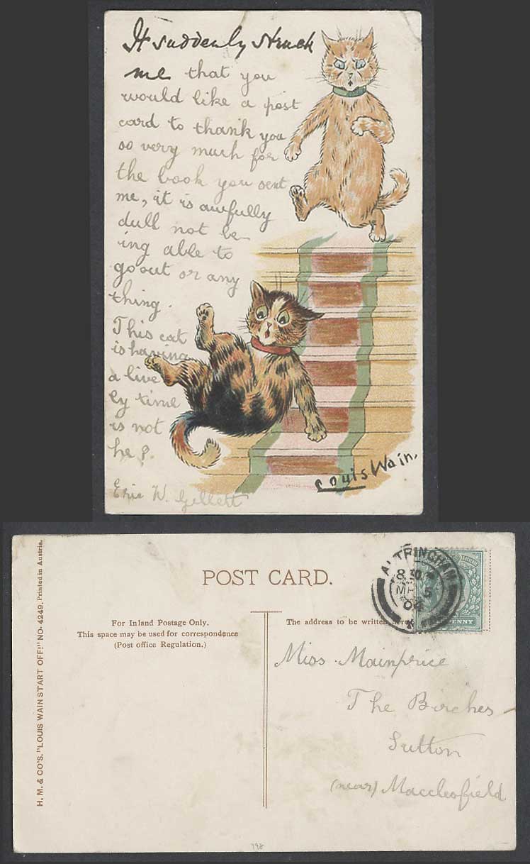 LOUIS WAIN Artist Signed Cats It Suddenly Struck Me Write Away 1904 Old Postcard