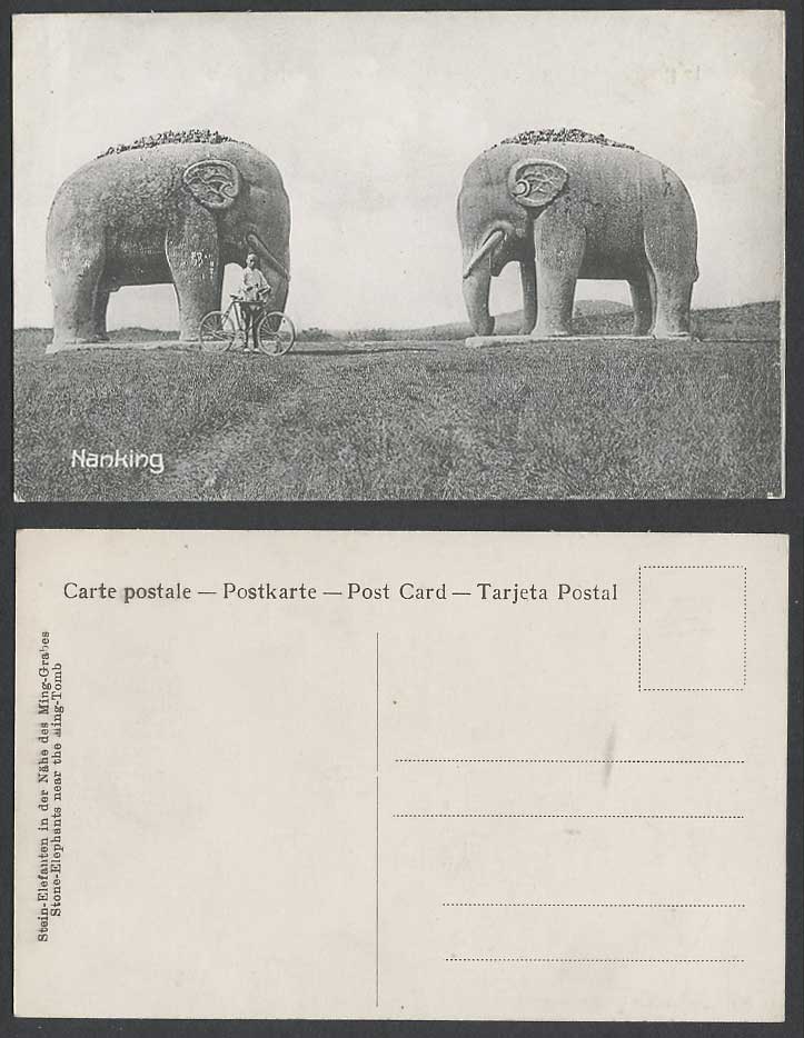 China Old Postcard Nanking Stone Elephants Statues Ming Tombs BICYCLE & Chinaman