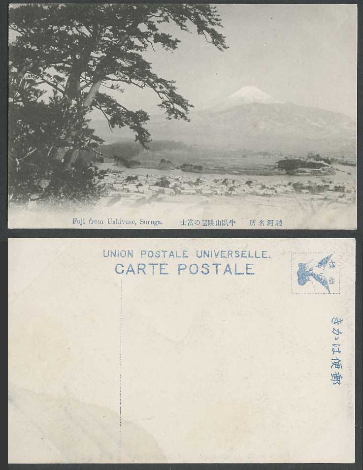 Japan Old Postcard Suruga, Mt. Fuji from Ushibuse Ushivuse, Pine Trees, Mountain
