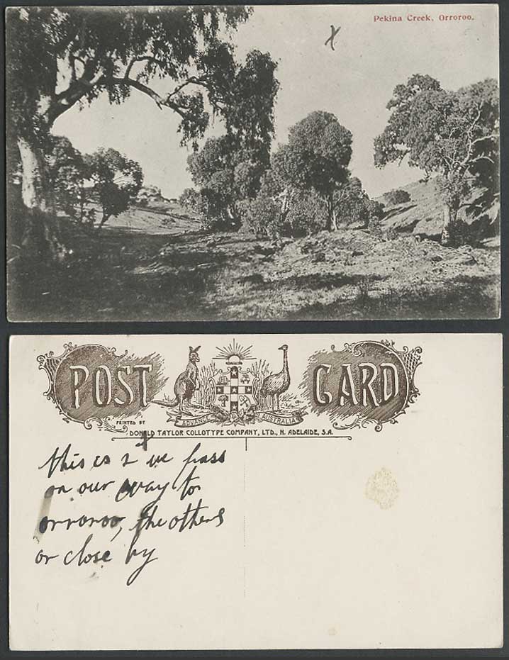 South Australia Old Postcard Pekina Creek, Orroroo, Trees Hills, Written Message