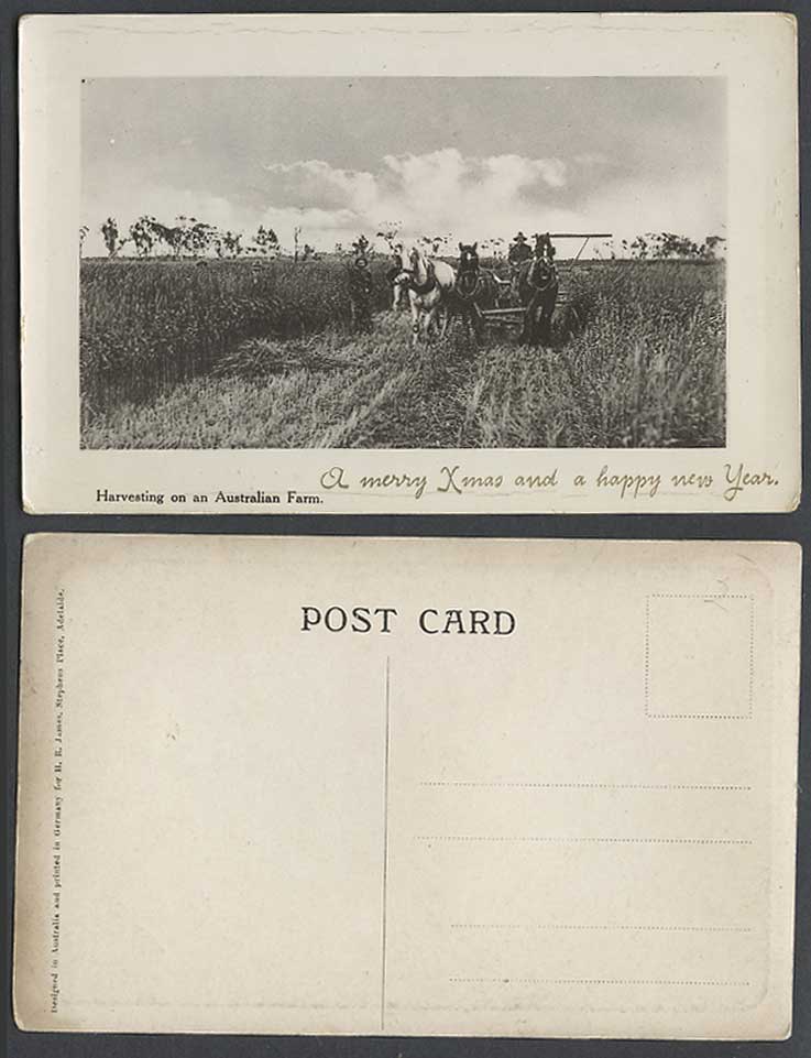 Australia Old Real Photo Postcard Harvesting on an Australian Farm Horses Farmer