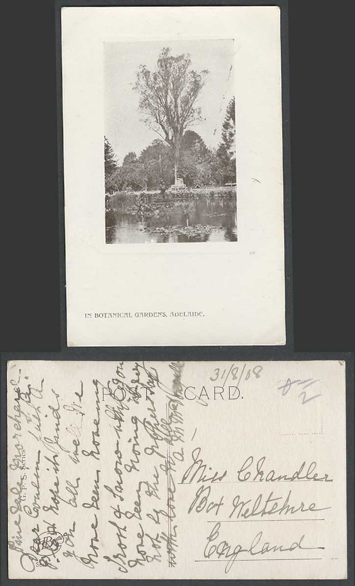 Australia 1908 Old Photo Postcard Adelaide Lake Botanic Gardens Botanical Garden
