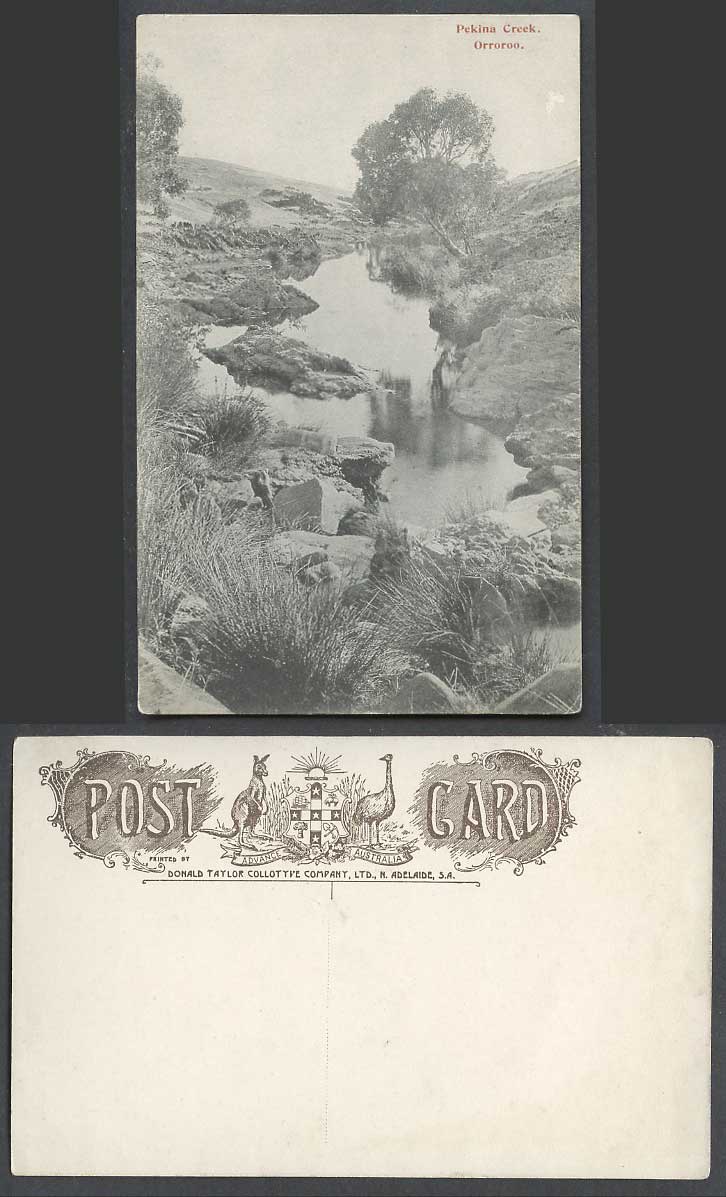 South Australia Old Postcard Pekina Creek, Orroroo, River Scene, Rocks, Panorama