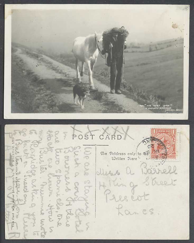 White Horse & Dog The Cast Shoe A Lakeland Shepherd 1920 Old Real Photo Postcard