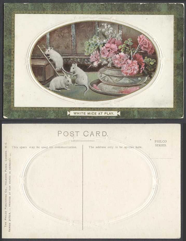 White Mice at Play Mouse Rat Rats, Ladder Carnation Flowers Animals Old Postcard