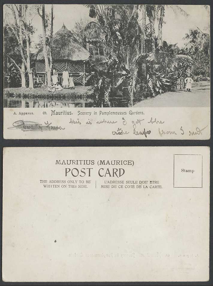 Mauritius Old Postcard Scenery in Pamplemousses Botanical Gardens Kiosk Children