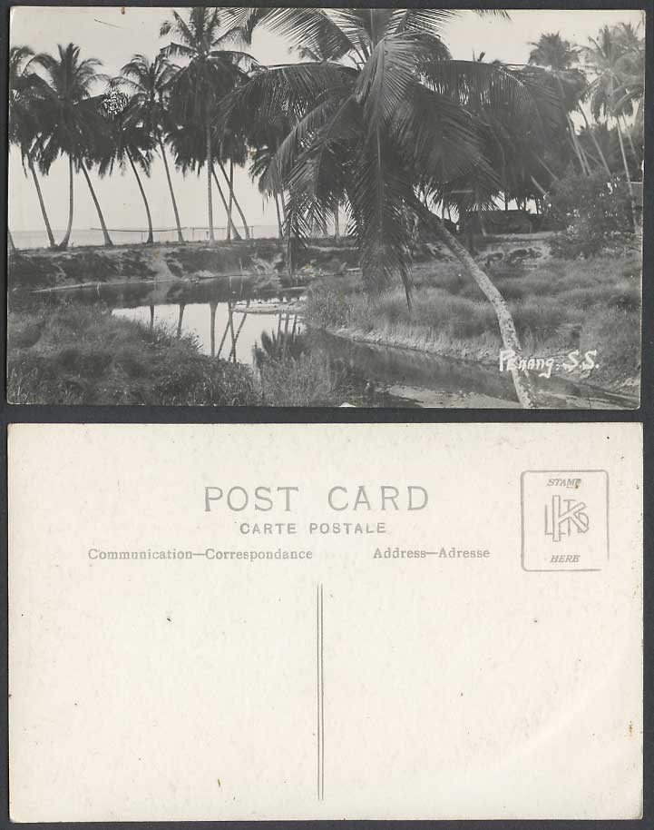 Penang S.S. Straits Settlements, River Scene, Palm Trees Old Real Photo Postcard