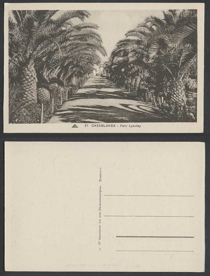 Morocco Old Postcard Casablanca Parc Lyautey Park Palm Tree Avenue Trees CAP 37