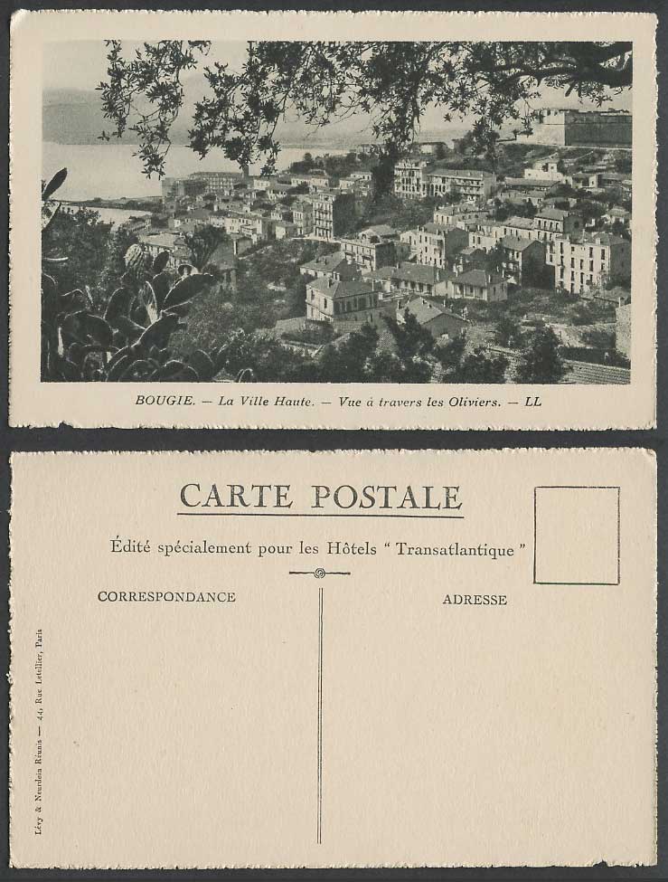 Algeria Old Postcard Bougie, Town City View through Olives Oliviers Cactus Cacti