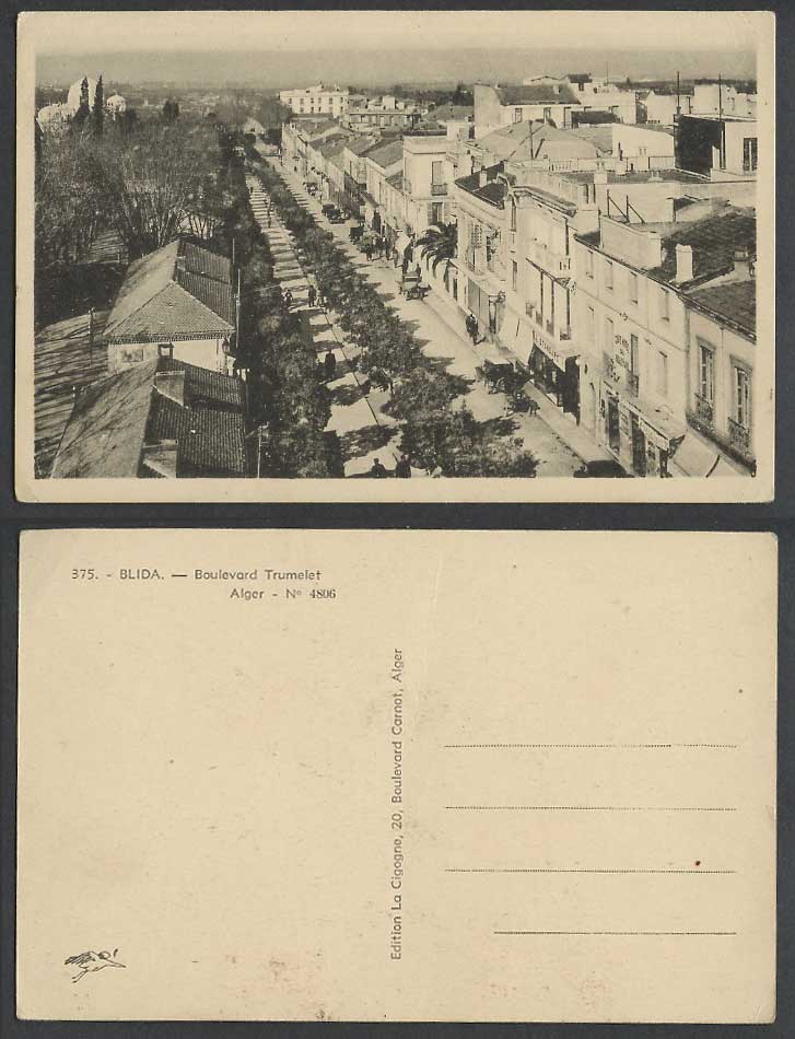 Algeria Old Postcard Blida, Boulevard Trumelet Alger, Street Scene Cars Panorama