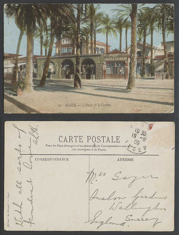 Algeria 1909 Old Postcard Alger L'Oasis de Palmiers Casino Cafe Restaurant Palms