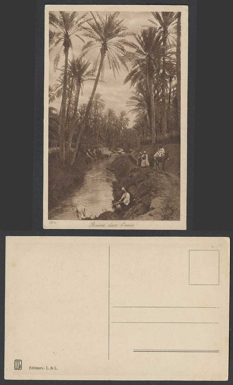 Egypt Old Postcard River Oasis Donkey Palm Tree Woman Drawing Water with Pitcher