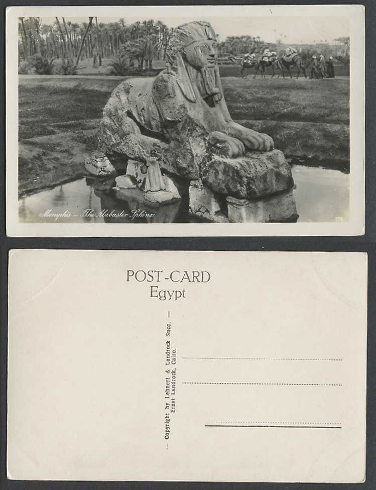Egypt Old Real Photo Postcard Memphis The Alabaster Sphinx, Camel Caravan Camels