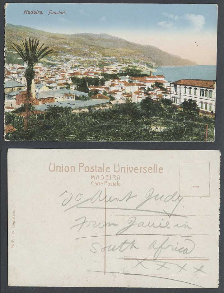 Portugal Old Colour Postcard Madeira Funchal Palm Tree Panorama General View 108