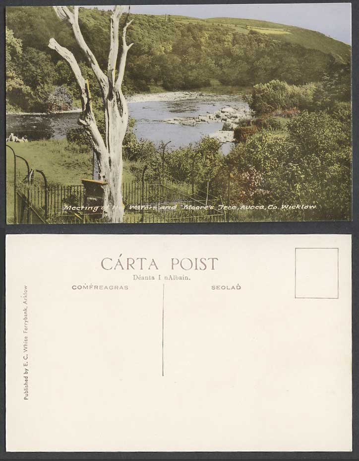 Ireland Co Wicklow Meeting of Waters Moore's Tree Avoca River Scene Old Postcard
