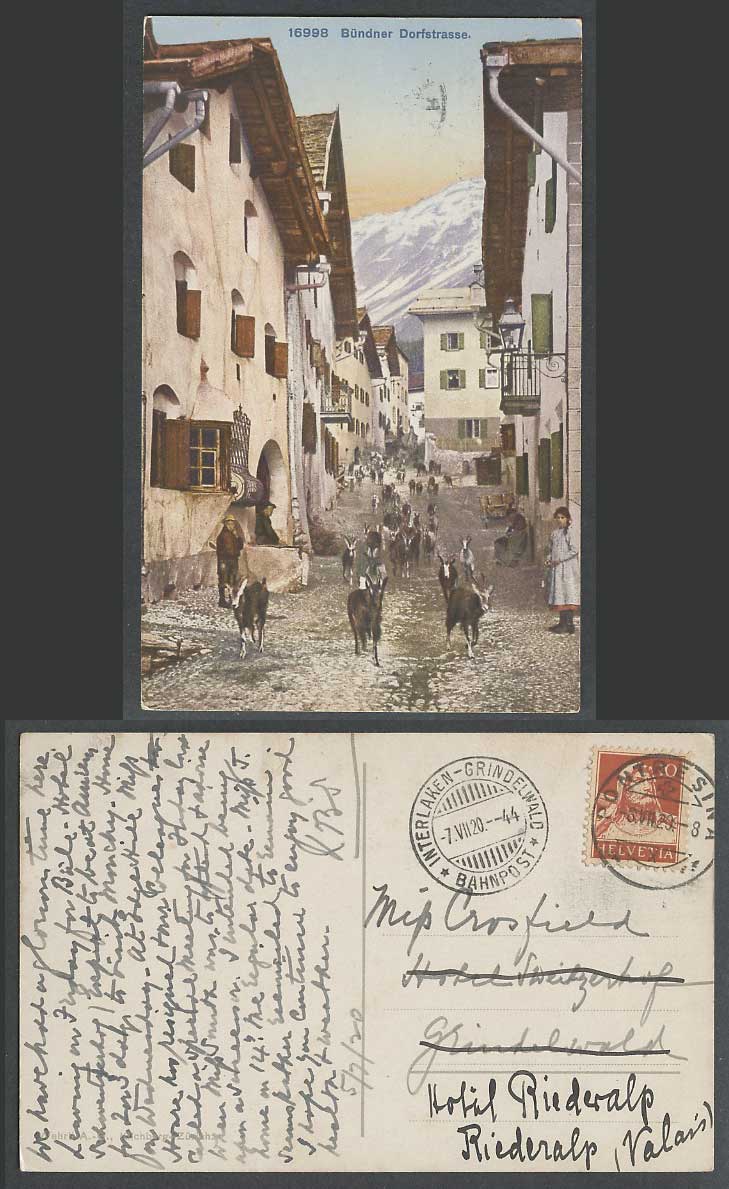 Swiss 1920 Old Postcard Buendner Dorfstrasse Street Scene with Chamois Antelopes